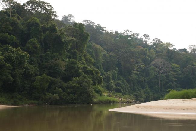 Taman Negara floden