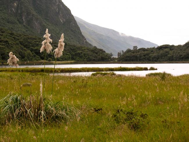 Laguna Liaviucu i Cajas nationalparken