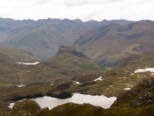 På Andesbjergenes højderyg i Cajas nationalpark