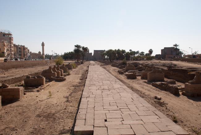 Sfinx aleen tær ved Luxor templet
