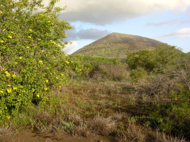 Resterne efter en vulkan på Isla San Salvador